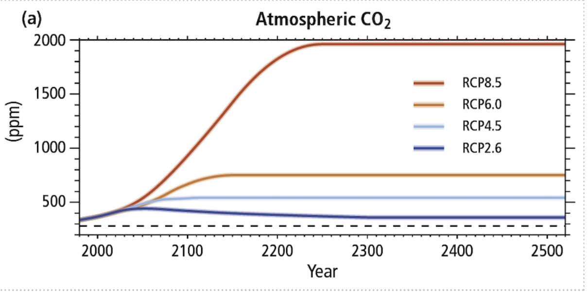 Atmospheric carbon dioxide concentrations under RCP2.6, RCP4.5, RCP6.0 and RCP8.5 scenarios